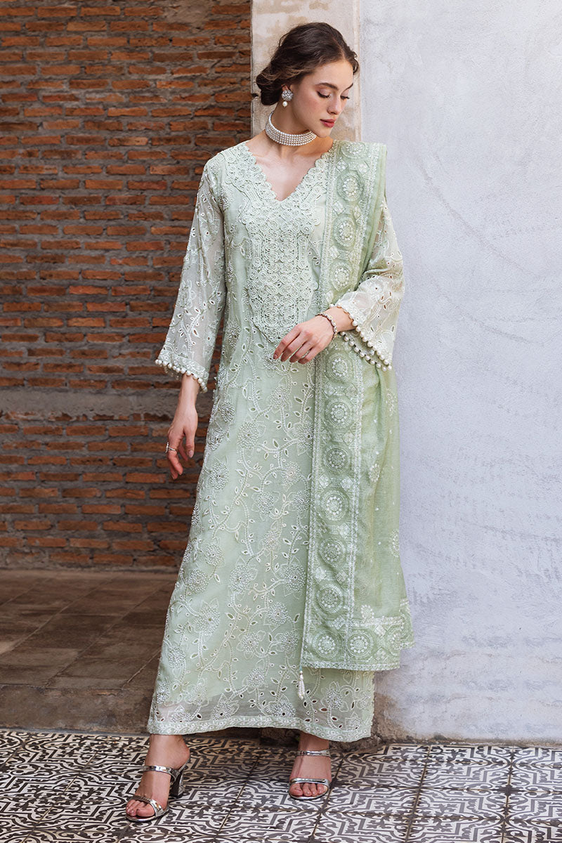 DHARA | SAUGAAT CHIKANKARI PRET | MUSHQ