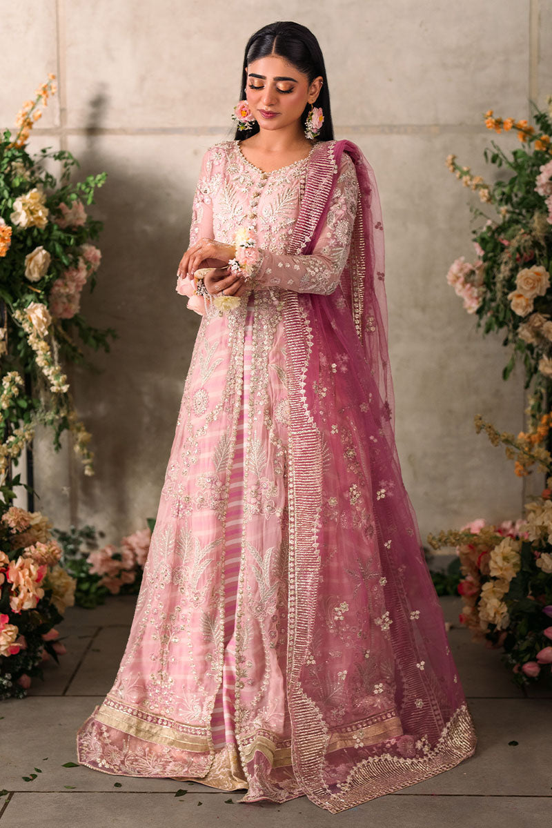 Maisha | Mastani Evening Luxury Chiffon Collection | MUSHQ in UK USA UAE online kapraye.com