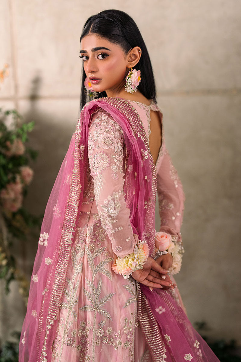 Maisha | Mastani Evening Luxury Chiffon Collection | MUSHQ in UK USA UAE online kapraye.com