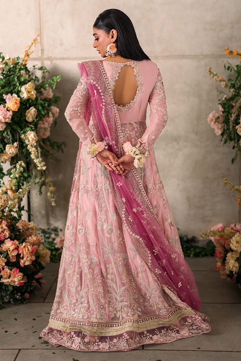 Maisha | Mastani Evening Luxury Chiffon Collection | MUSHQ in UK USA UAE online kapraye.com