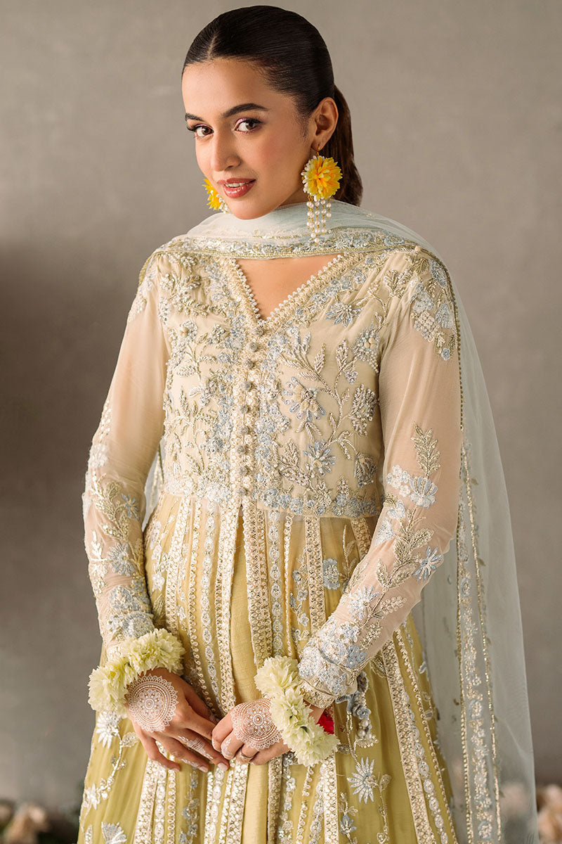 Hira | Mastani Evening Luxury Chiffon Collection | MUSHQ in UK USA UAE online kapraye.com