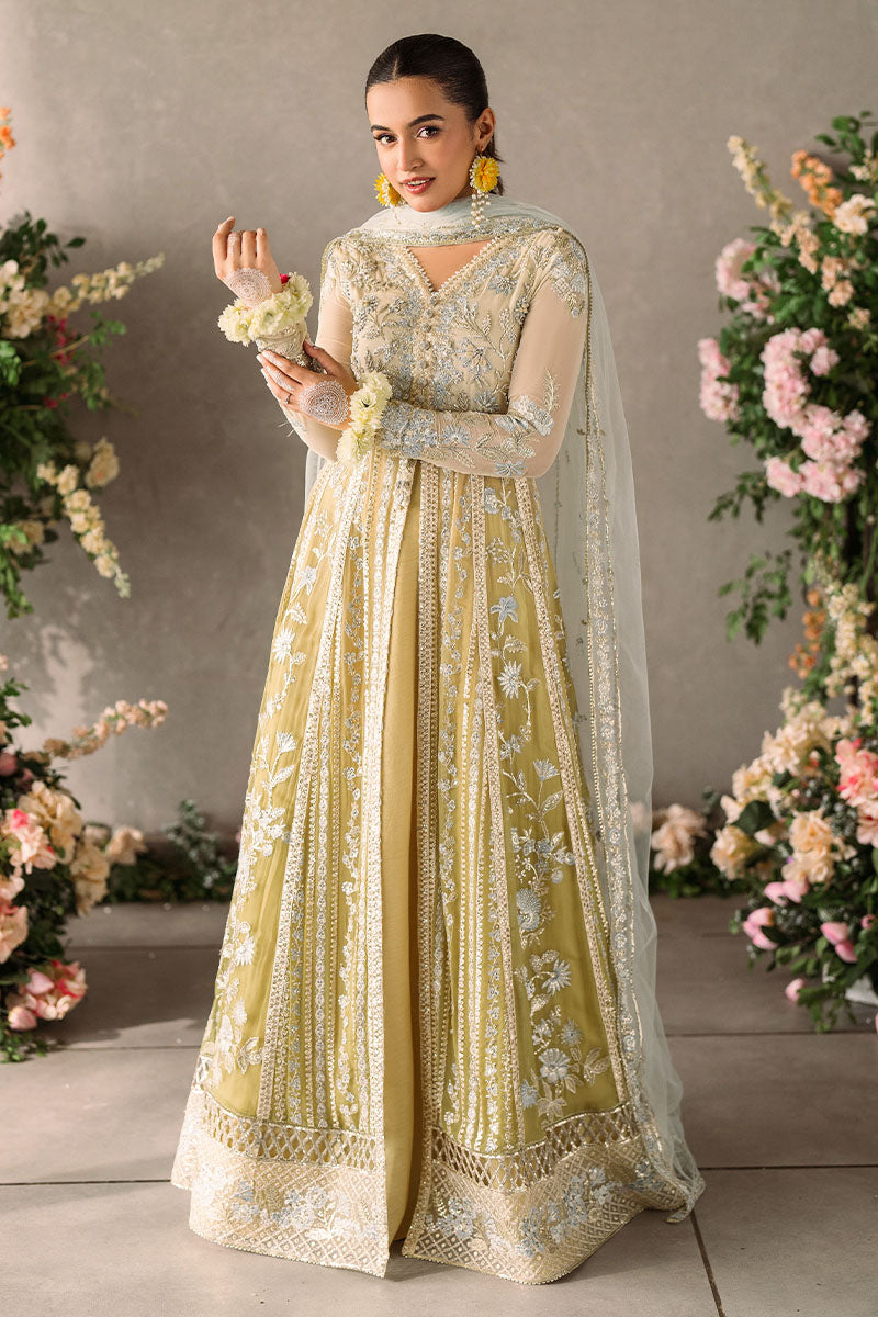 Hira | Mastani Evening Luxury Chiffon Collection | MUSHQ in UK USA UAE online kapraye.com