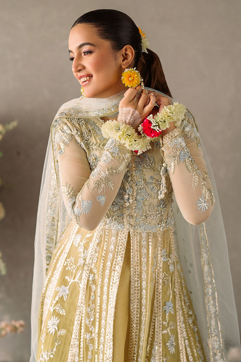 Hira | Mastani Evening Luxury Chiffon Collection | MUSHQ in UK USA UAE online kapraye.com