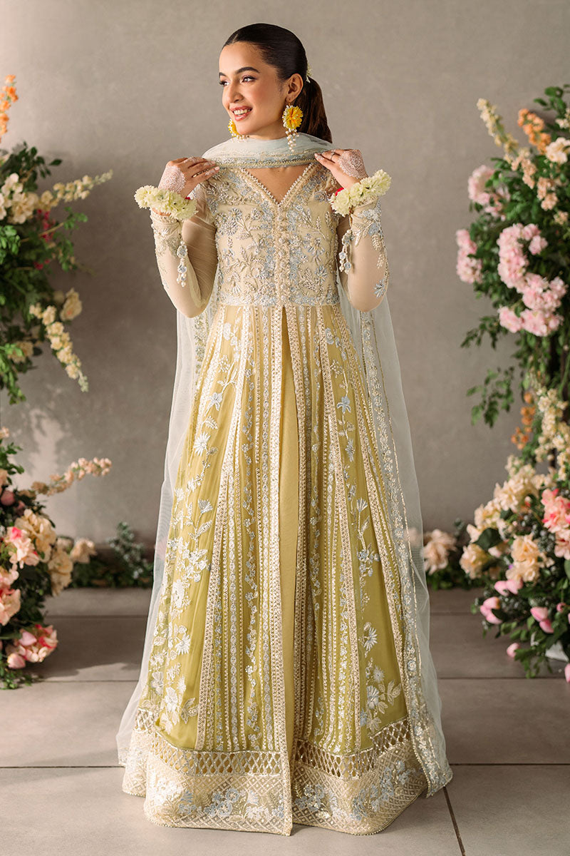 Hira | Mastani Evening Luxury Chiffon Collection | MUSHQ in UK USA UAE online kapraye.com