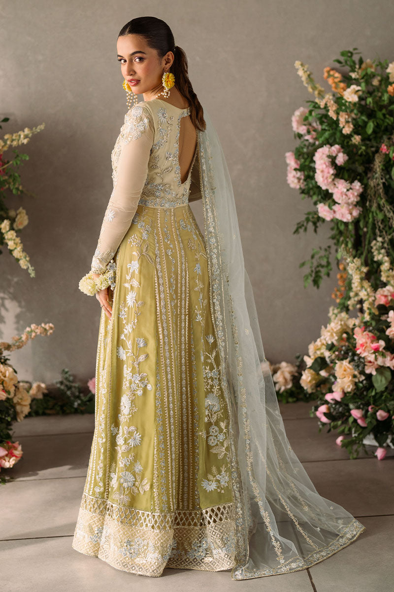 Hira | Mastani Evening Luxury Chiffon Collection | MUSHQ in UK USA UAE online kapraye.com