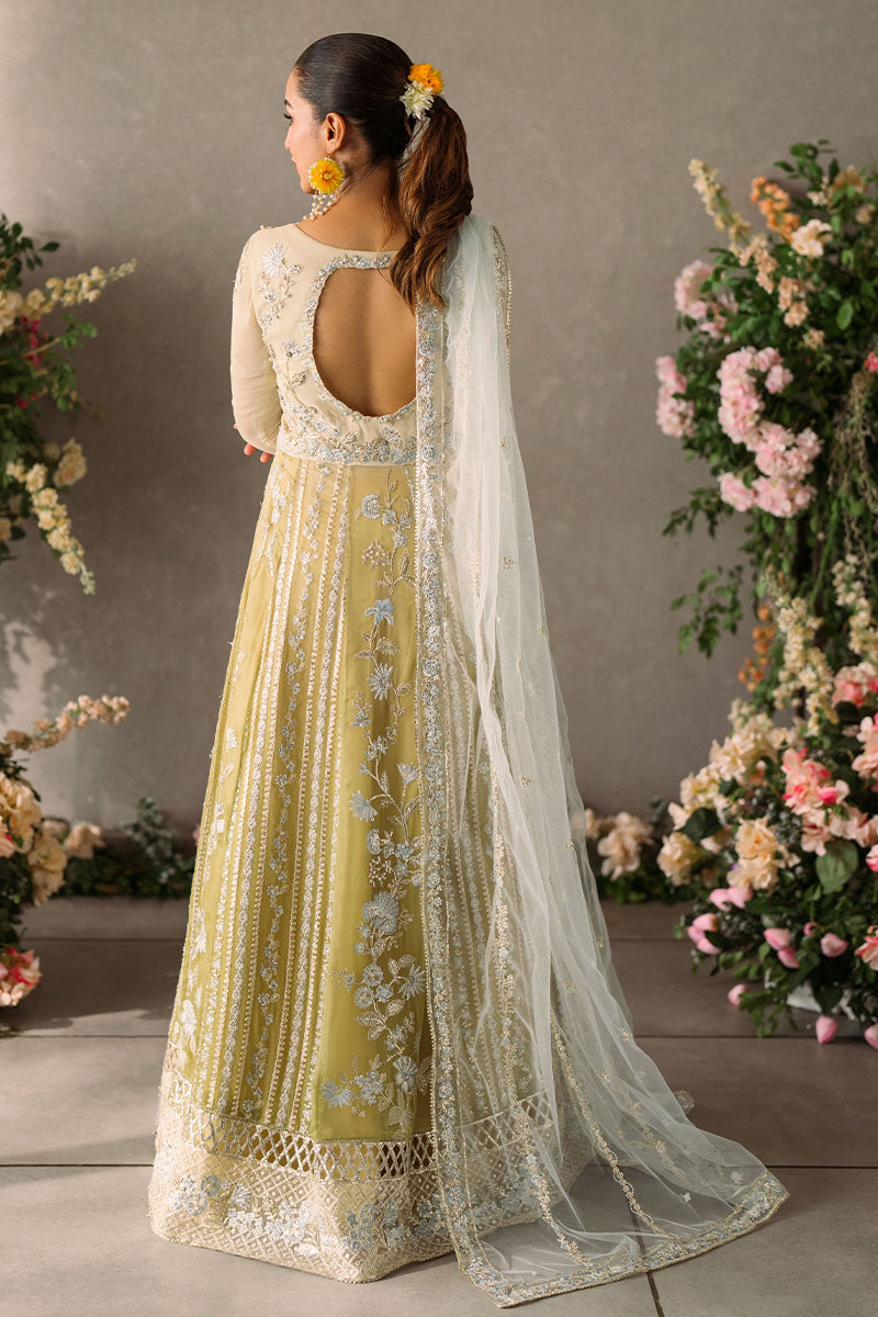 Hira | Mastani Evening Luxury Chiffon Collection | MUSHQ in UK USA UAE online kapraye.com