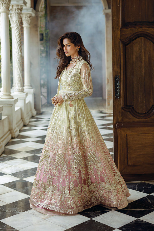 Cosmic Couture | Stardust - Unstitched Wedding Collection '24 | Mushq in UK USA UAE online kapraye.com