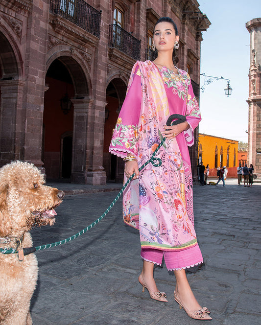 Meredith | ODYSSEY | LAWN '26 | MUSHQ