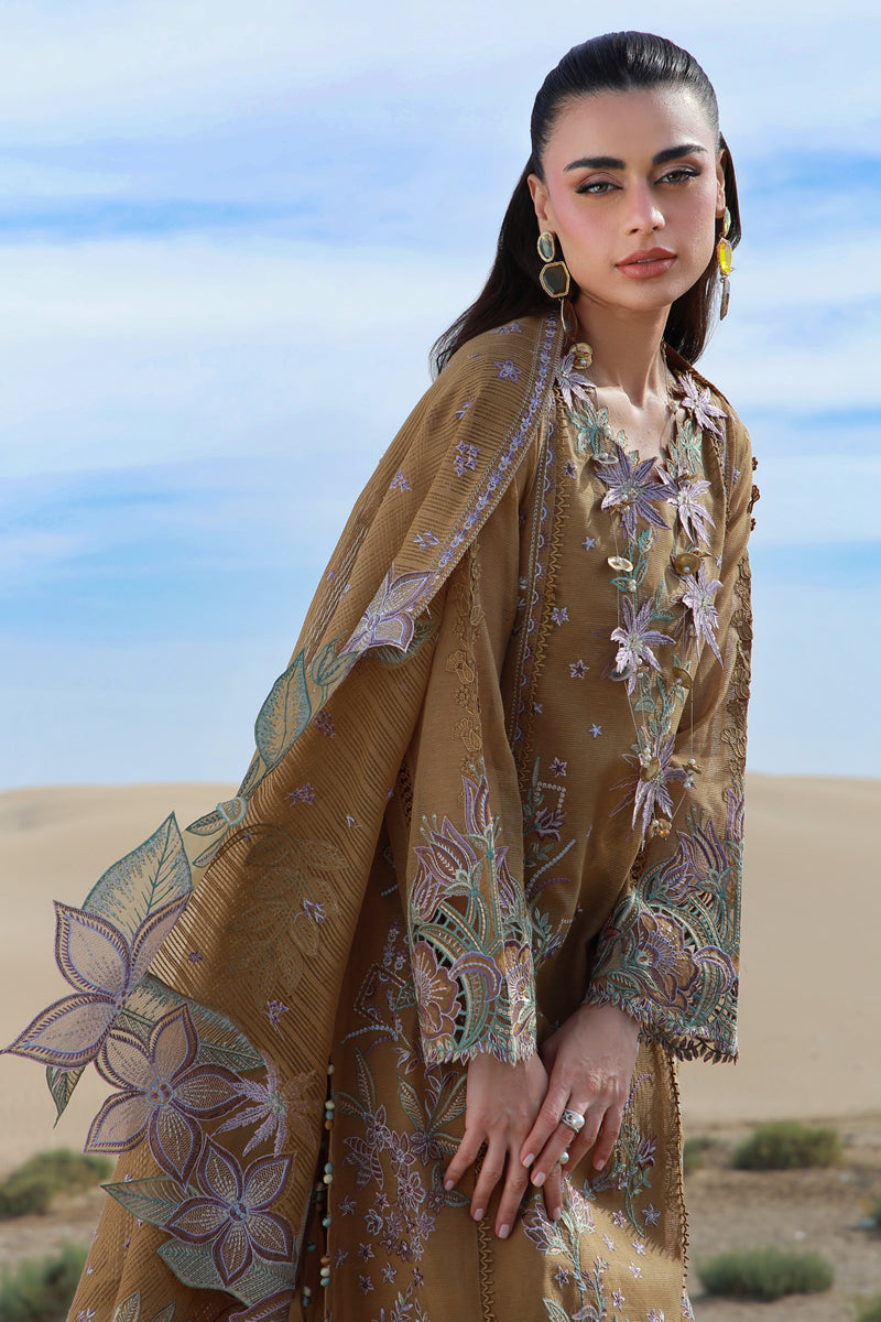 Minaal | Premium Summer Collection '26 | Rang Rasiya