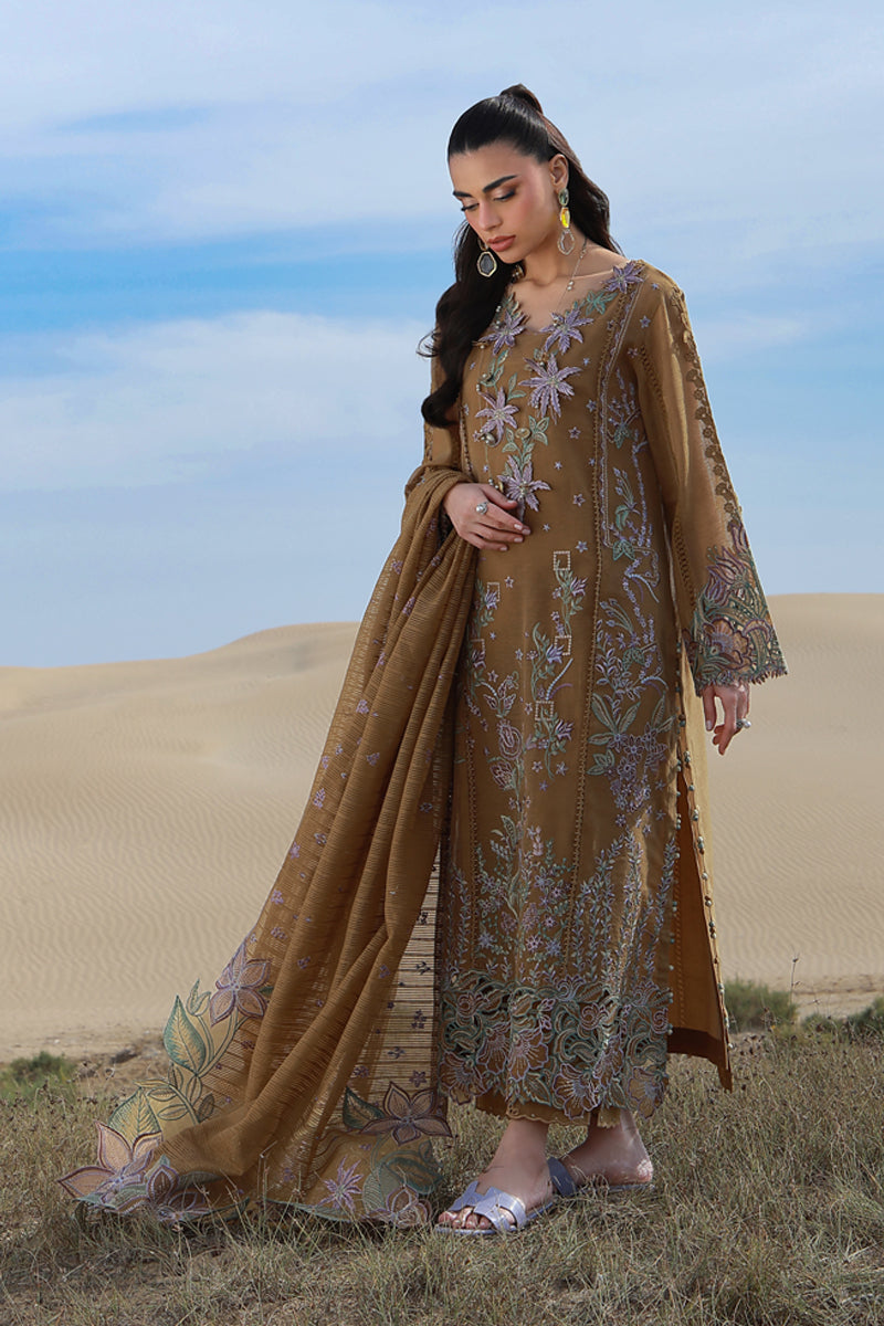 Minaal | Premium Summer Collection '26 | Rang Rasiya
