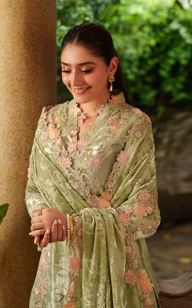 Noir LWC25-04 | PASHMINA LUXE | ASIFA N NABEEL