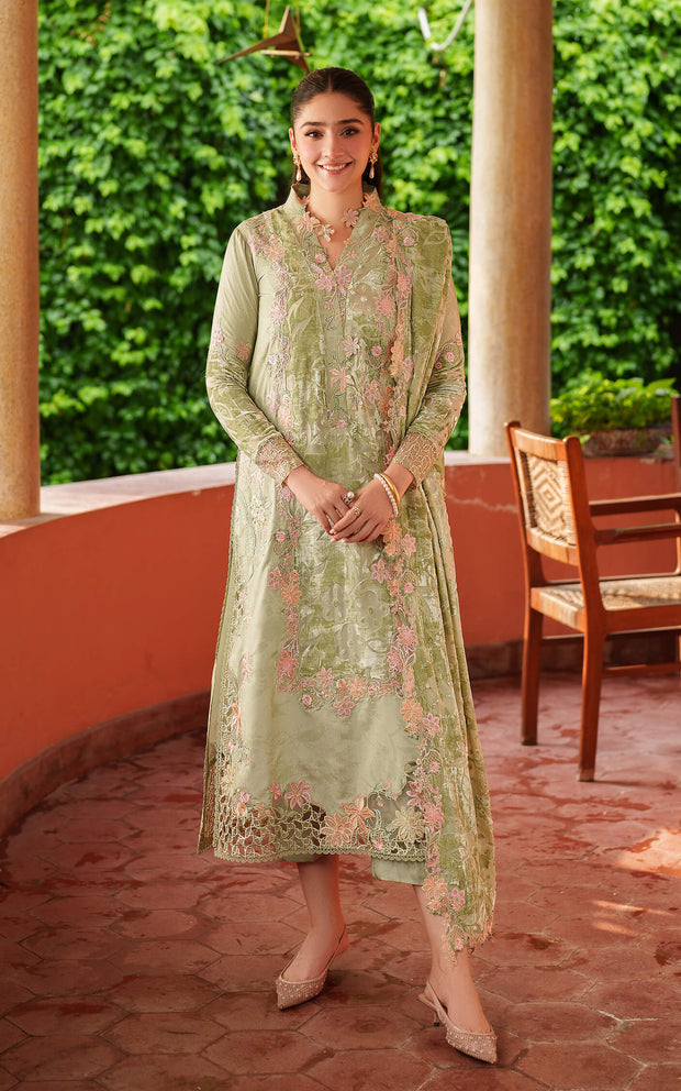 Noir LWC25-04 | PASHMINA LUXE | ASIFA N NABEEL