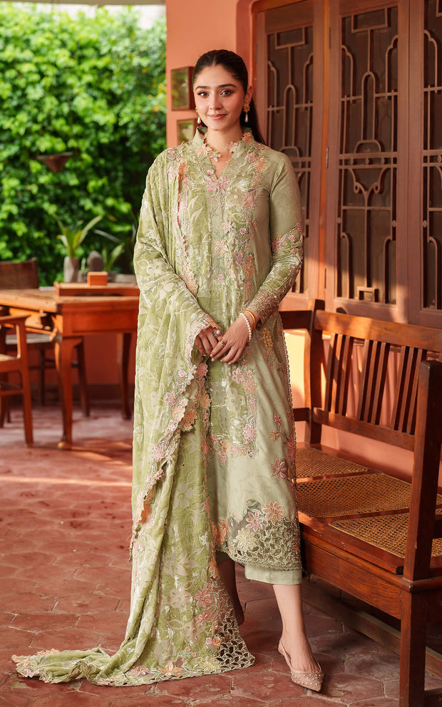 Noir LWC25-04 | PASHMINA LUXE | ASIFA N NABEEL