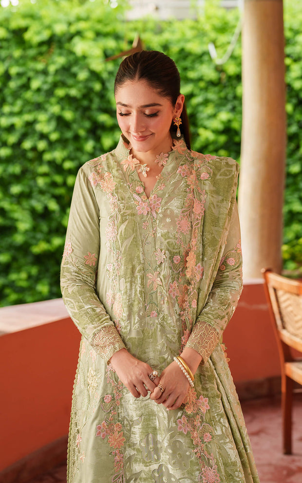 Noir LWC25-04 | PASHMINA LUXE | ASIFA N NABEEL