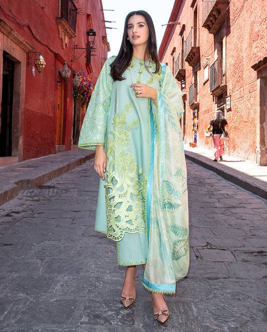 Paloma | ODYSSEY | LAWN '26 | MUSHQ