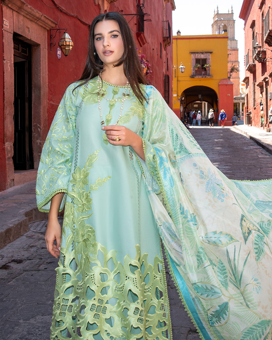Paloma | ODYSSEY | LAWN '26 | MUSHQ