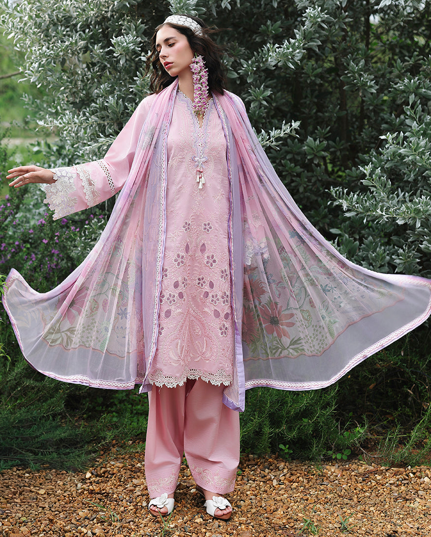 Rosewood Secret | The Secret Garden Lawn '26 | MUSHQ