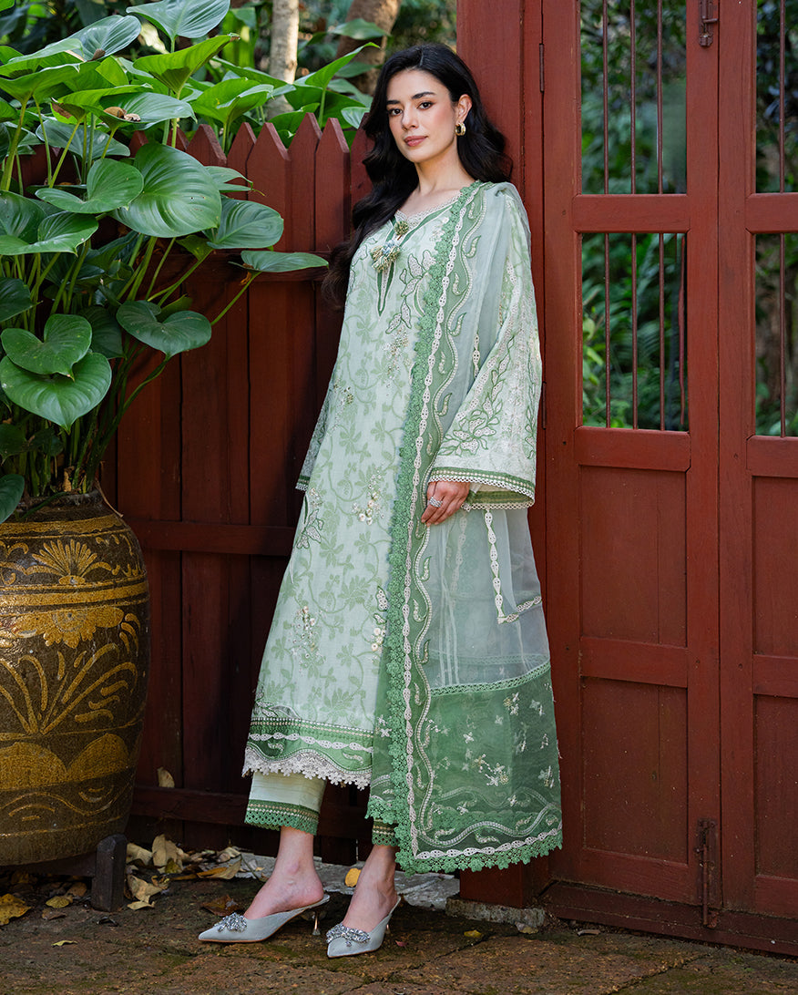 Terra Belle | Casual Pret'26 | MUSHQ