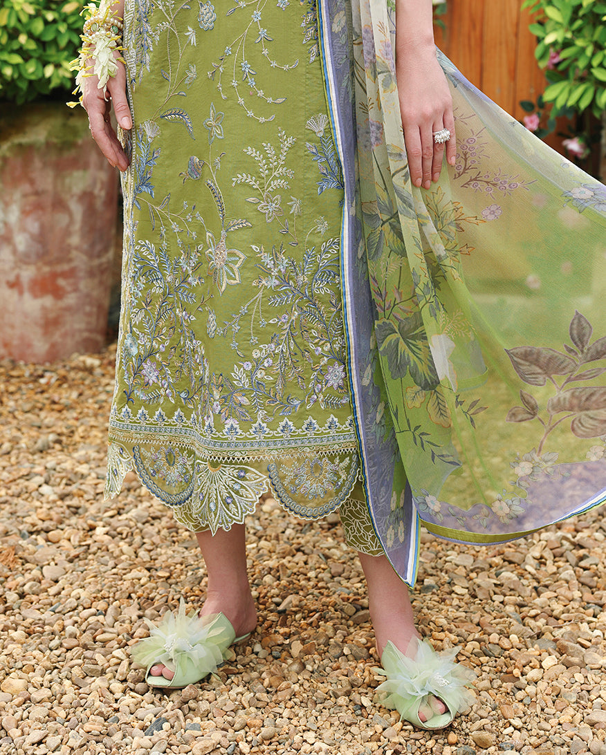 Whispering Ivy | The Secret Garden Lawn '26 | MUSHQ