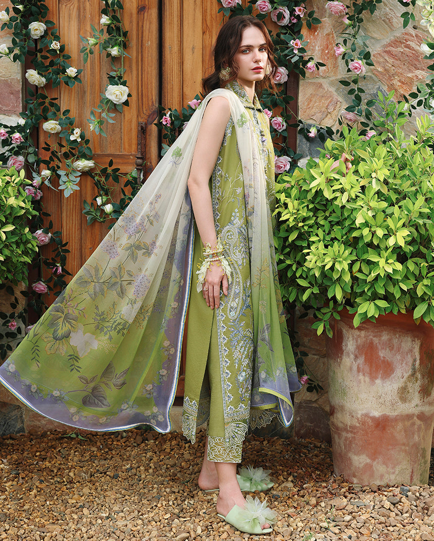 Whispering Ivy | The Secret Garden Lawn '26 | MUSHQ