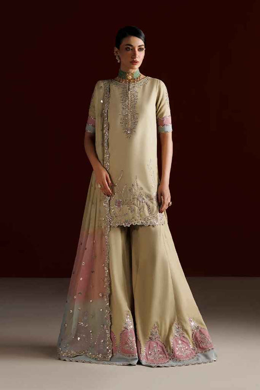 CC-108 Embroidered Chiffon | SEMI FORMALS VOL 1 | IZNIK in UK USA UAE online kapraye.com