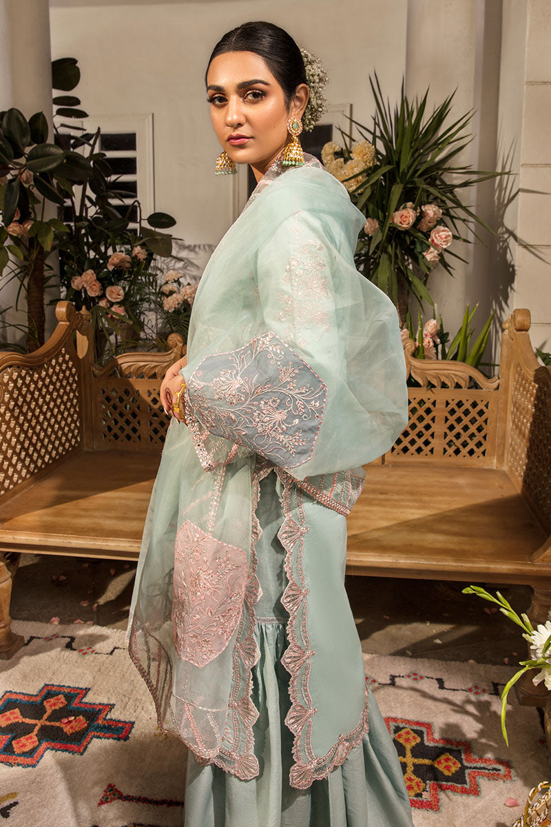 AMYRA | REHMAT - LUXURY COLLECTION | Rang Rasiya in UK USA UAE online kapraye.com