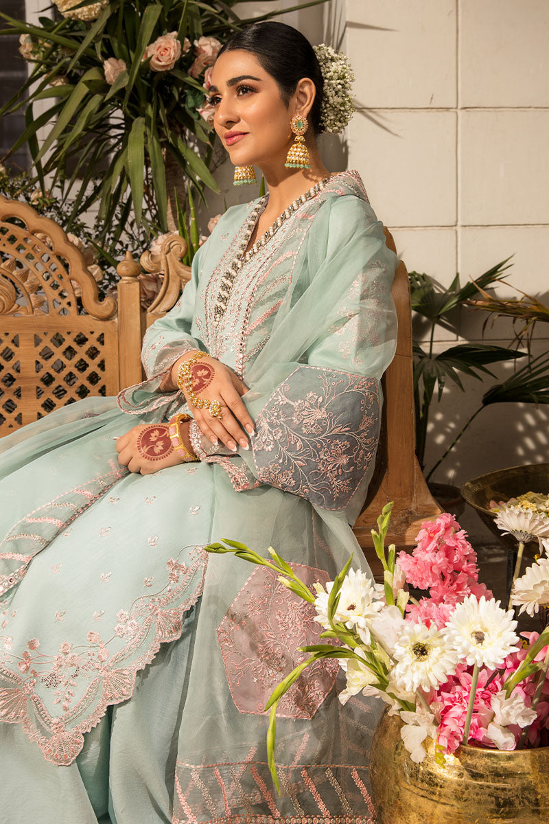 AMYRA | REHMAT - LUXURY COLLECTION | Rang Rasiya in UK USA UAE online kapraye.com