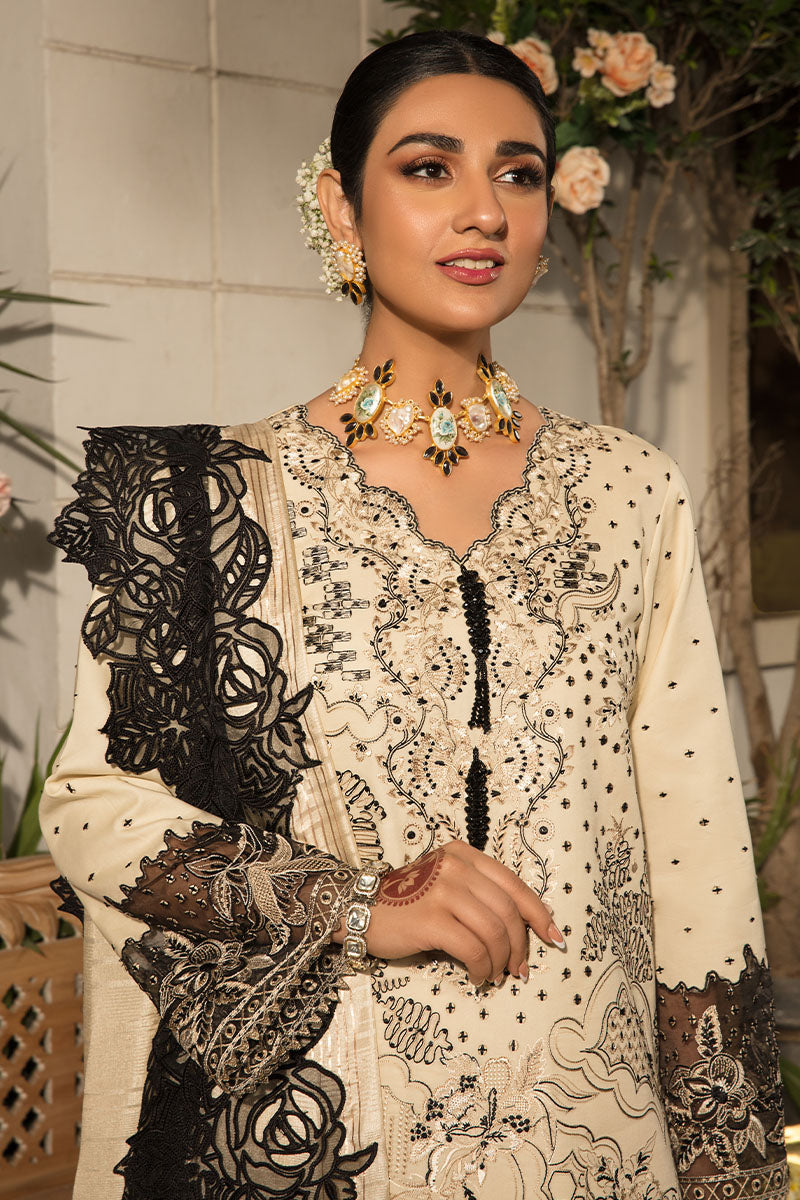 AYLEEN | REHMAT - LUXURY COLLECTION | Rang Rasiya in UK USA UAE online kapraye.com