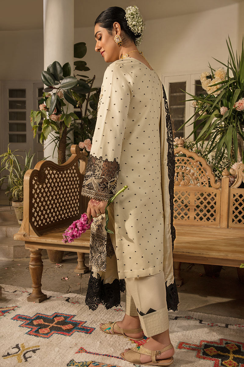 AYLEEN | REHMAT - LUXURY COLLECTION | Rang Rasiya in UK USA UAE online kapraye.com