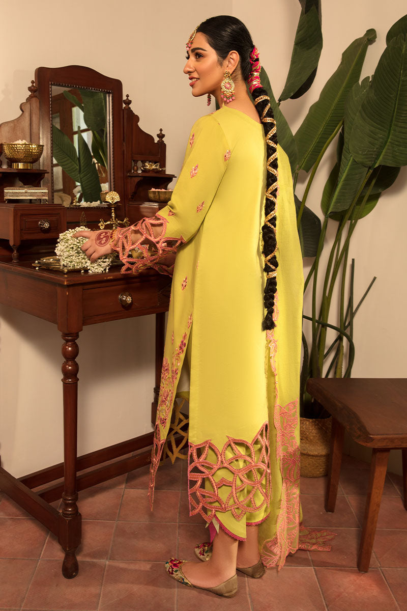 MEHARMAH | REHMAT - LUXURY COLLECTION | Rang Rasiya in UK USA UAE online kapraye.com