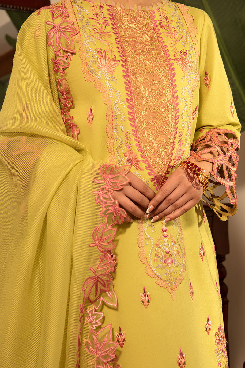 MEHARMAH | REHMAT - LUXURY COLLECTION | Rang Rasiya in UK USA UAE online kapraye.com